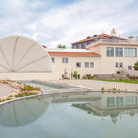 Stroganov & Oliveira do Hospital