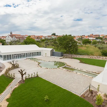 Stroganov & 5* Oliveira do Hospital