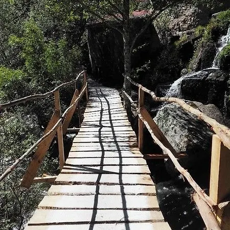 Stroganov & Hotell Oliveira do Hospital