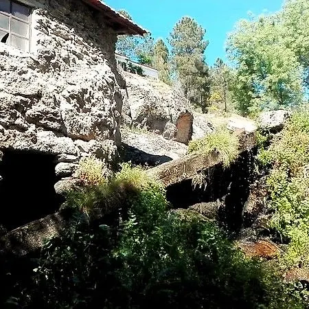 Stroganov & Oliveira do Hospital