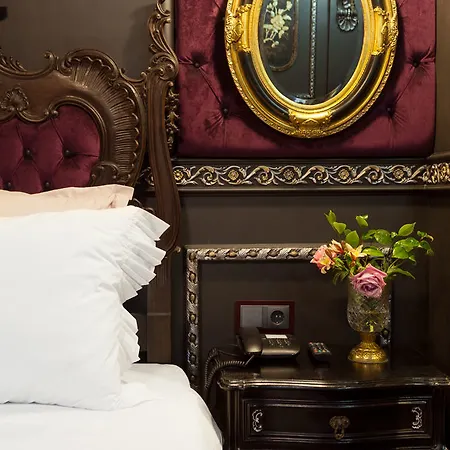 Stroganov & Oliveira do Hospital