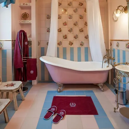 Hotel Stroganov & 5*