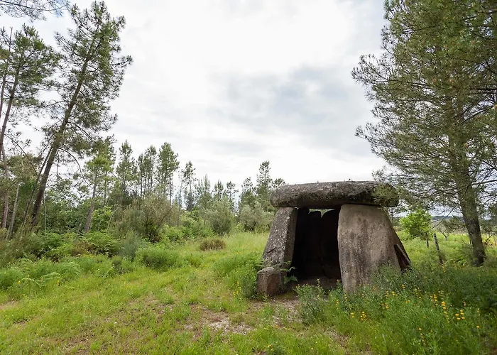 ホテル Stroganov & オリヴェイラ・ド・オスピタル