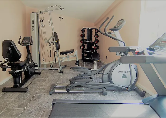 Stroganov & オリヴェイラ・ド・オスピタル